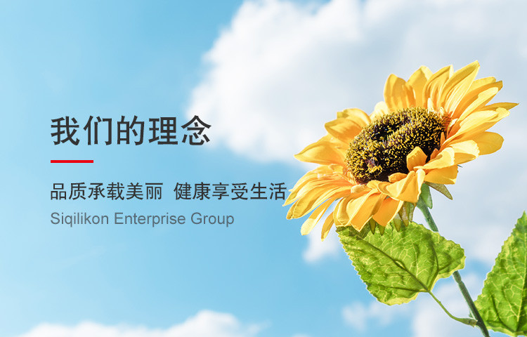 沈阳斯琦丽康医疗器械销售有限公司